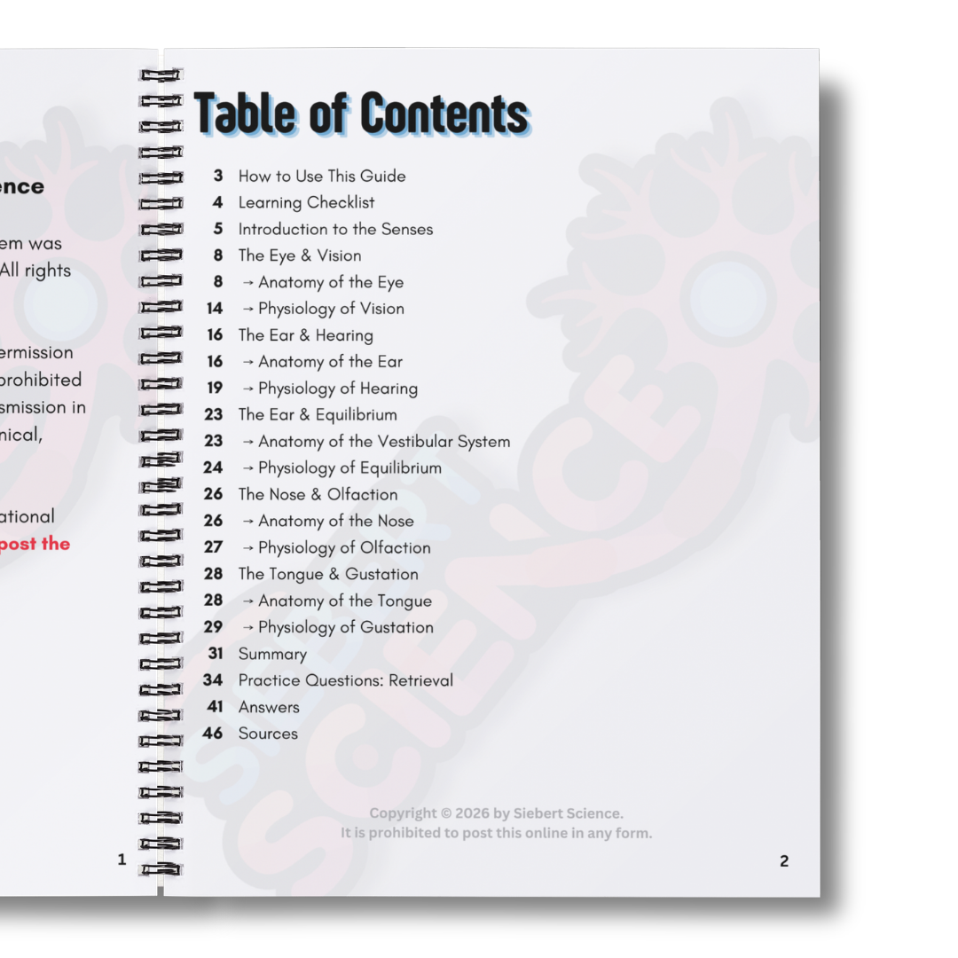 The A&P 1 Organ Systems Guide Collection (ebooks)