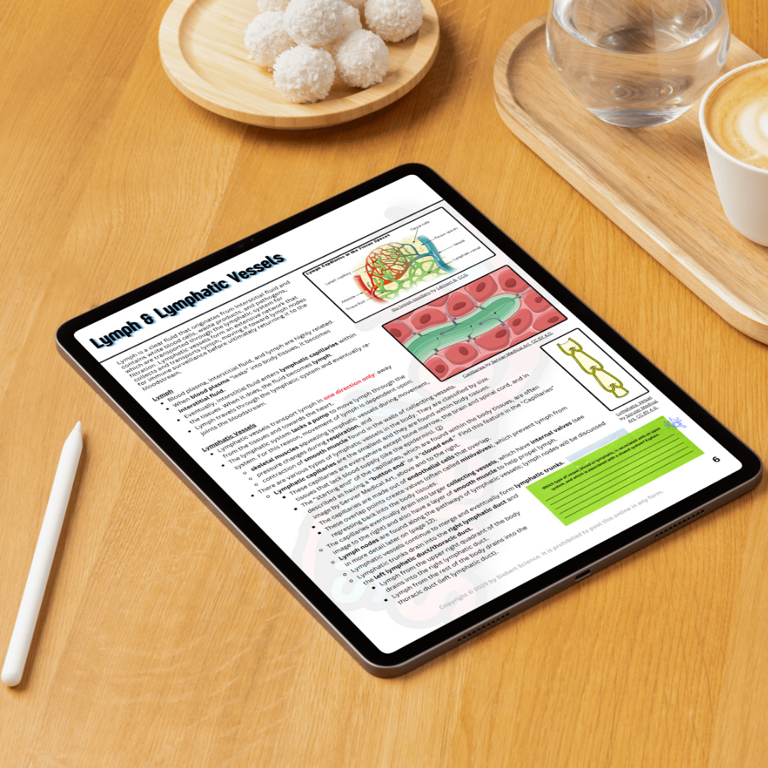 The Complete Guide to the Lymphatic & Immune Systems (ebook)
