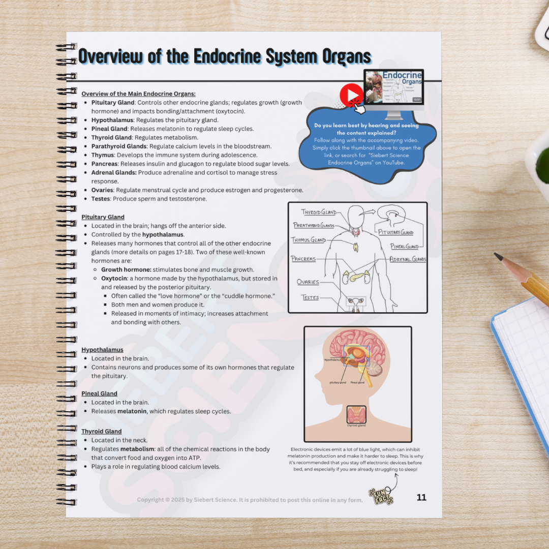 The Complete Guide to the Endocrine System (ebook)