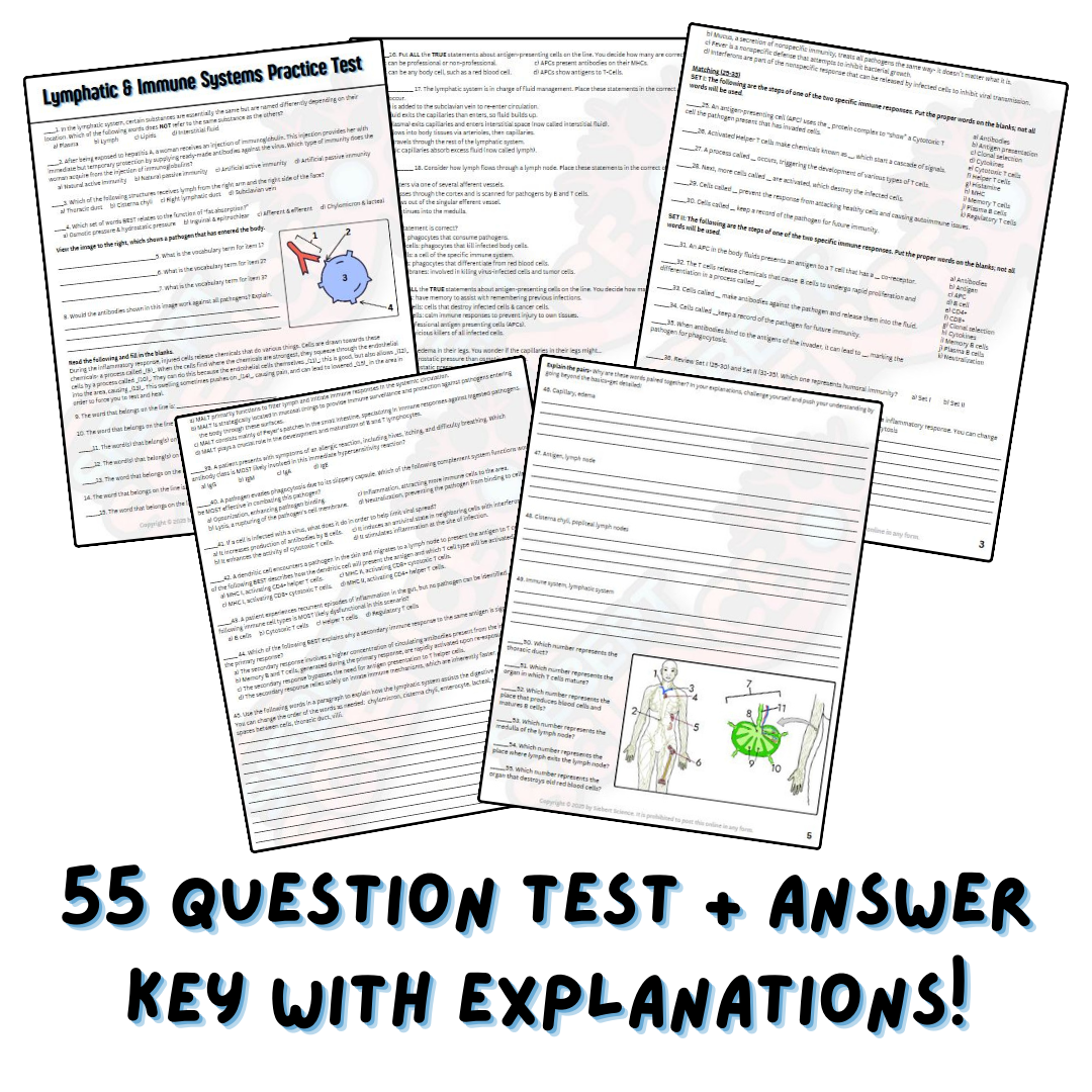 Practice Test - Lymphatic & Immune Systems