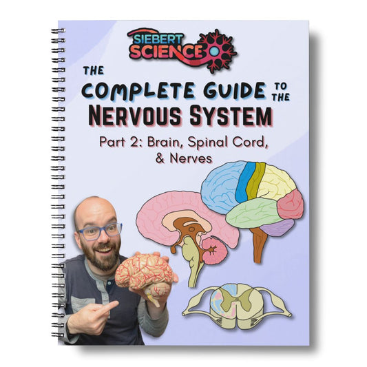 The Complete Guide to the Nervous System (Part 2: Brain, Spinal Cord, & Nerves) (ebook)