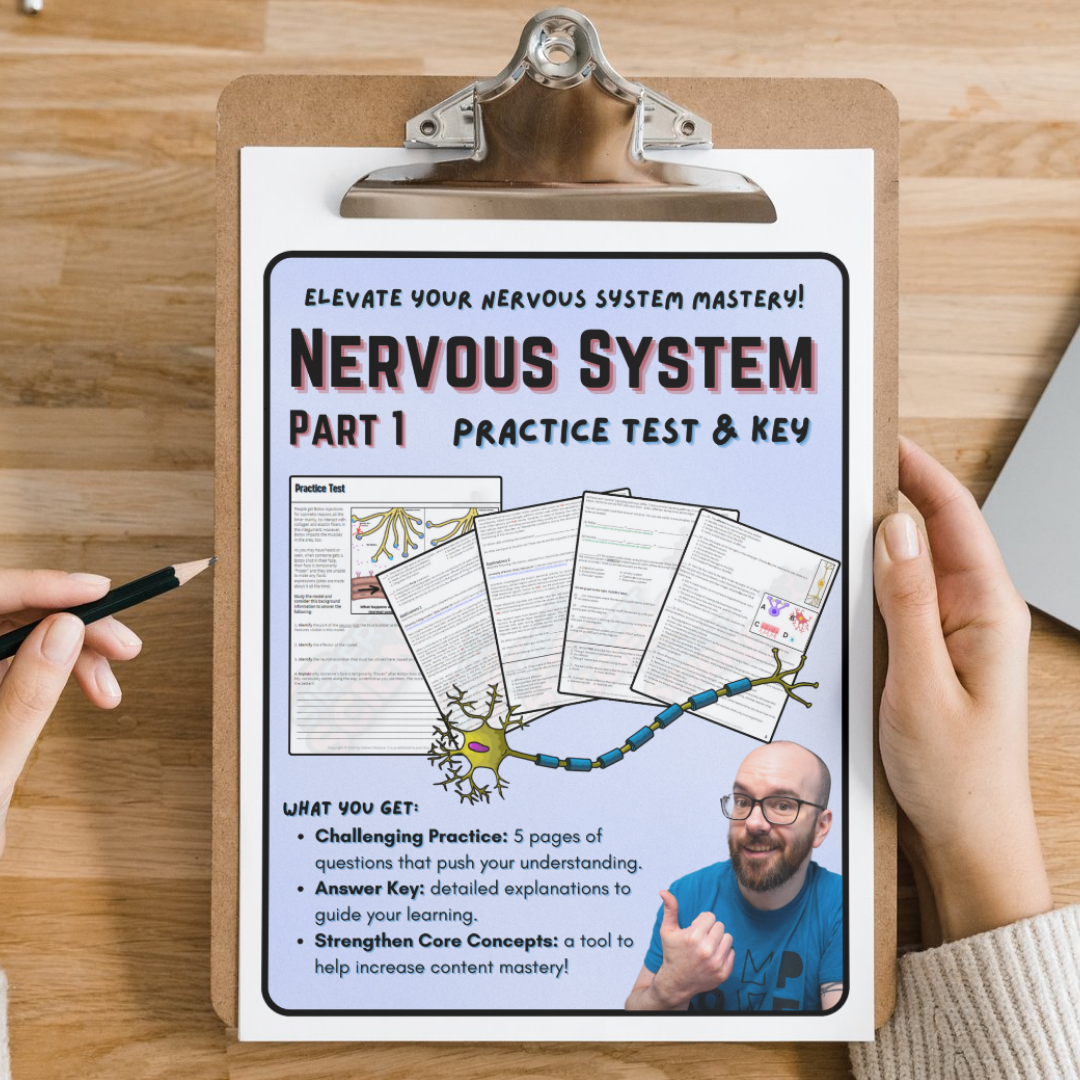 Practice Test - Nervous System, Part 1 (Neurons, Action Potentials, Synapses, & Divisions)