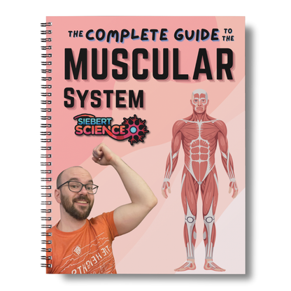 The Complete Guide to the Muscular System (ebook)