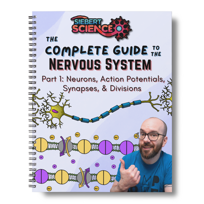 The Complete Guide to the Nervous System (Part 1: Neurons, Action Potentials, Synapses, & Divisions) (ebook)