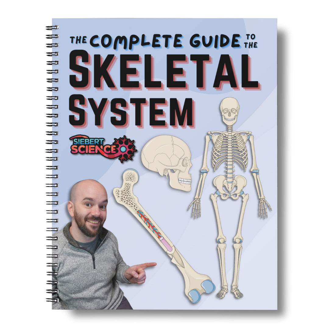 The A&P 1 Organ Systems Guide Collection (ebooks)