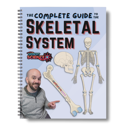 The A&P 1 Organ Systems Guide Collection (ebooks)
