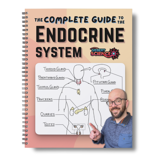 The Complete Guide to the Endocrine System (ebook)