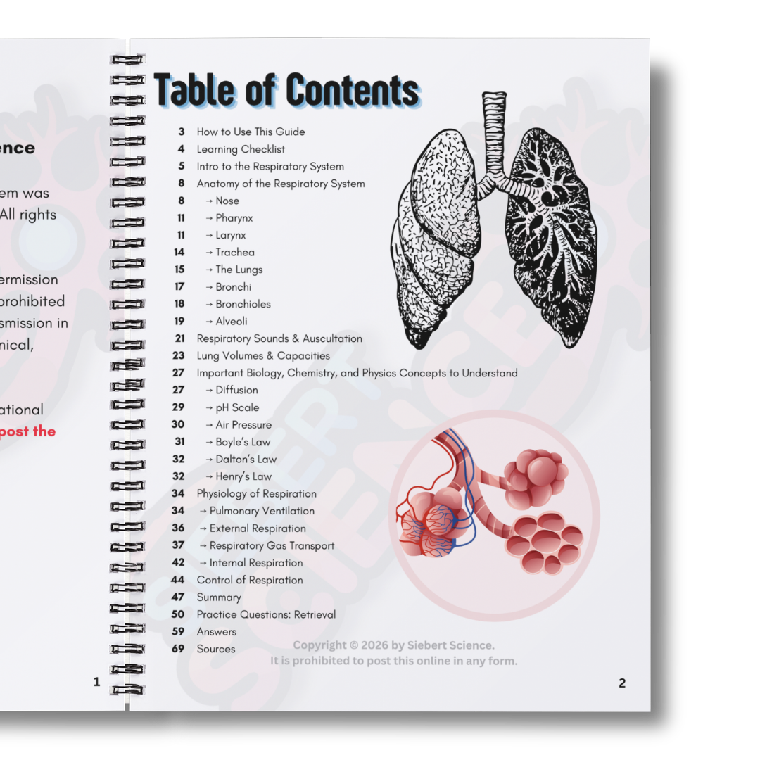 The Complete Guide to the Respiratory System (ebook)