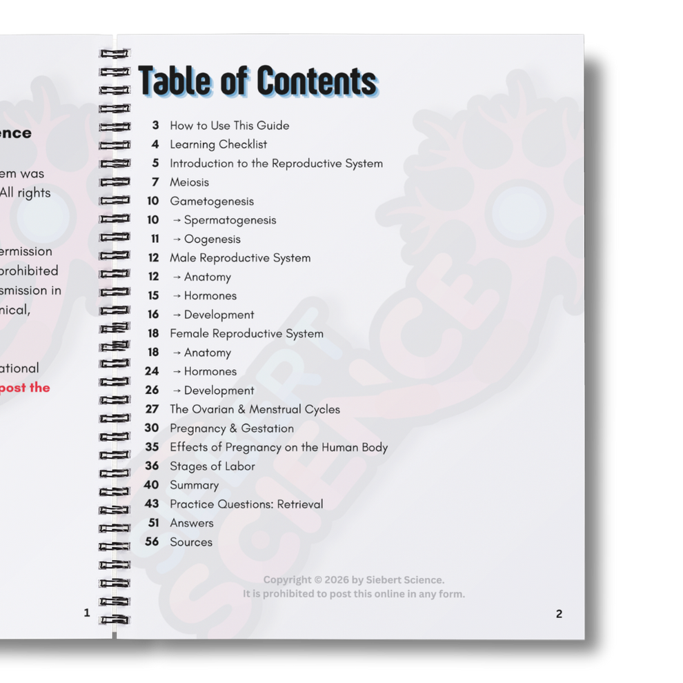 The Complete Guide to the Reproductive System (ebook) – Siebert Science ...