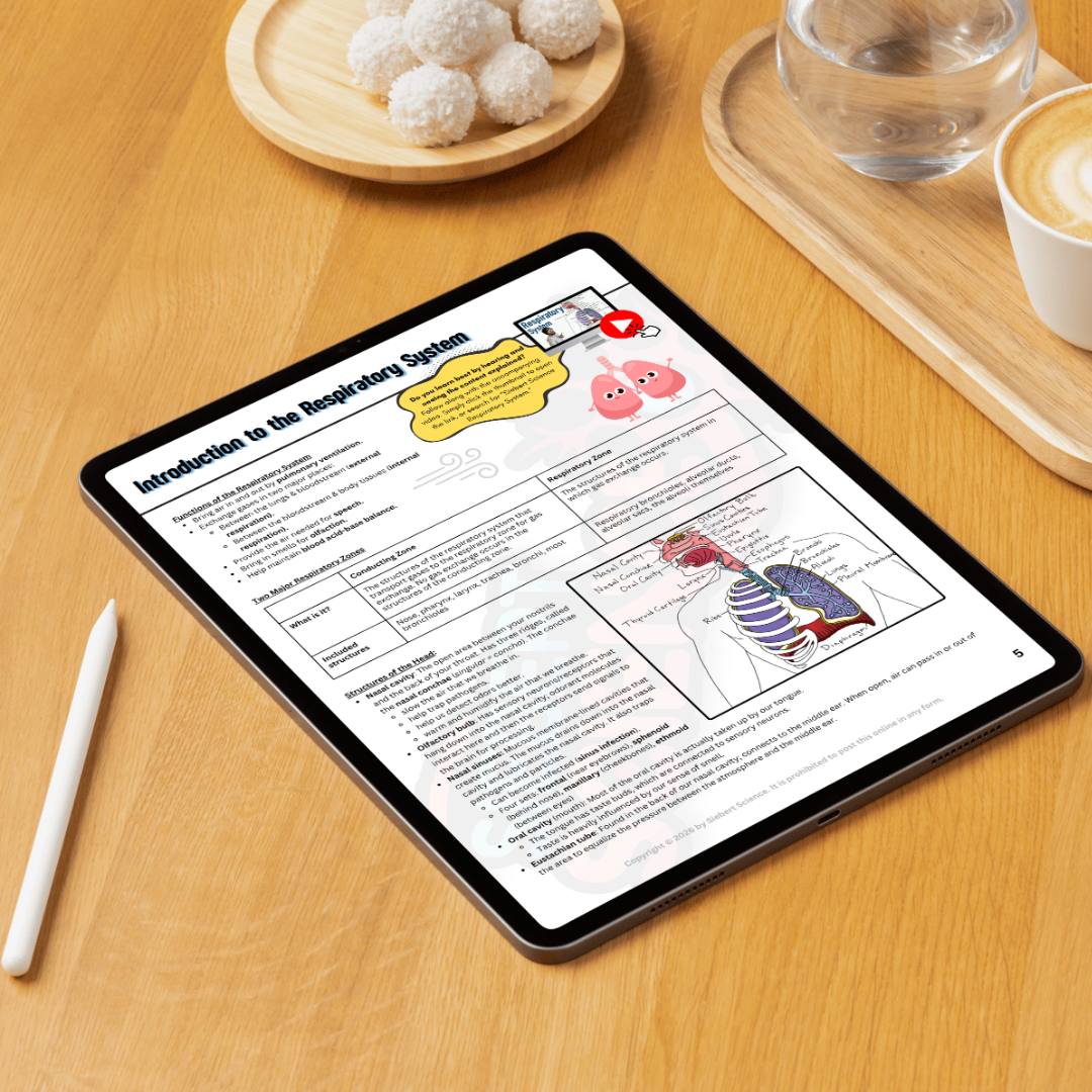 The Complete Guide to the Respiratory System (ebook)