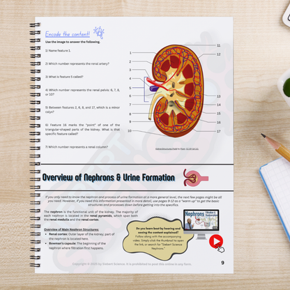 The Complete Guide to the Urinary System (ebook)