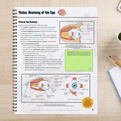 The Complete Guide to the Nervous System (Part 3: Special Senses) (ebook)