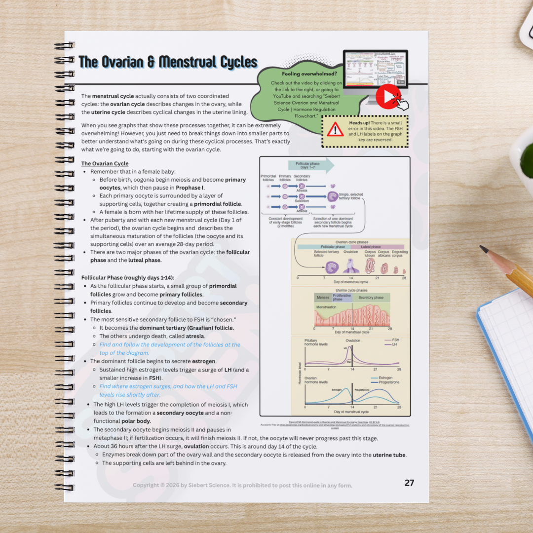 The Complete Guide to the Reproductive System (ebook)