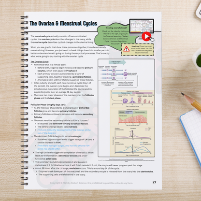 The Complete Guide to the Reproductive System (ebook)