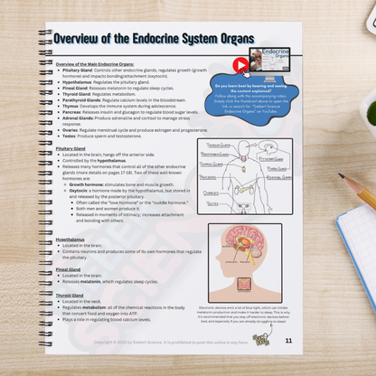 The Complete Guide to the Endocrine System (ebook)