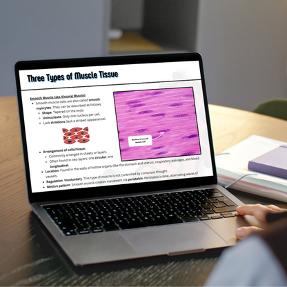 The Complete Guide to the Muscular System (ebook)