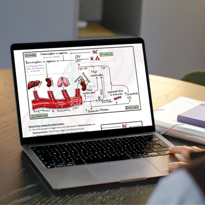 The Complete Guide to the Urinary System (ebook)