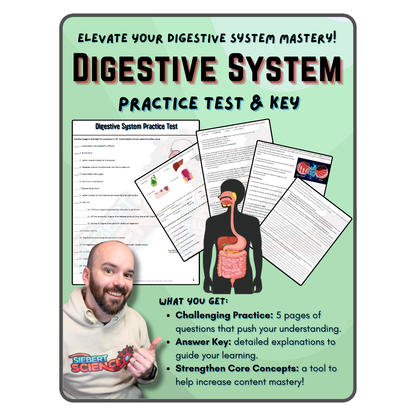 Practice Test - Digestive System