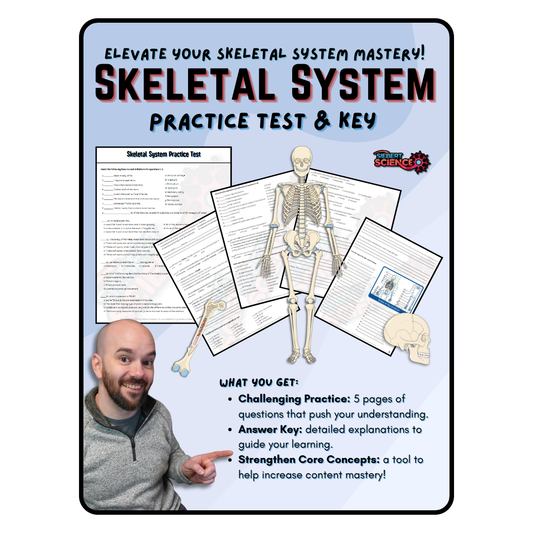Practice Test - Skeletal System