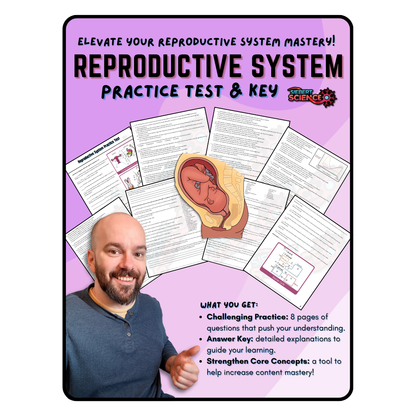 Practice Test - Reproductive System