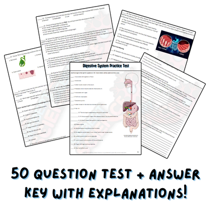 Practice Test - Digestive System