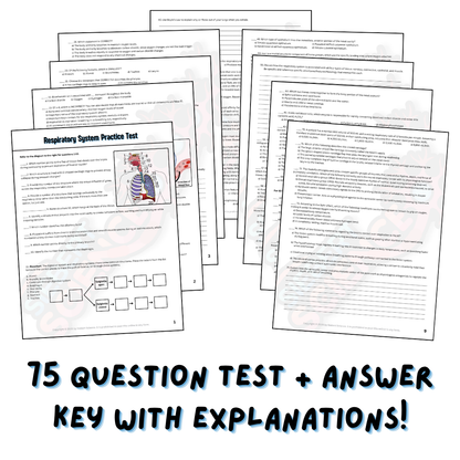 Practice Test - Respiratory System