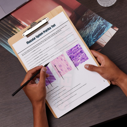 Practice Test - Muscular System