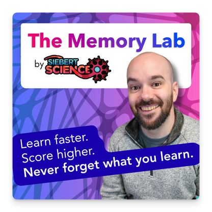 The Memory Lab 🧠 by Siebert Science
