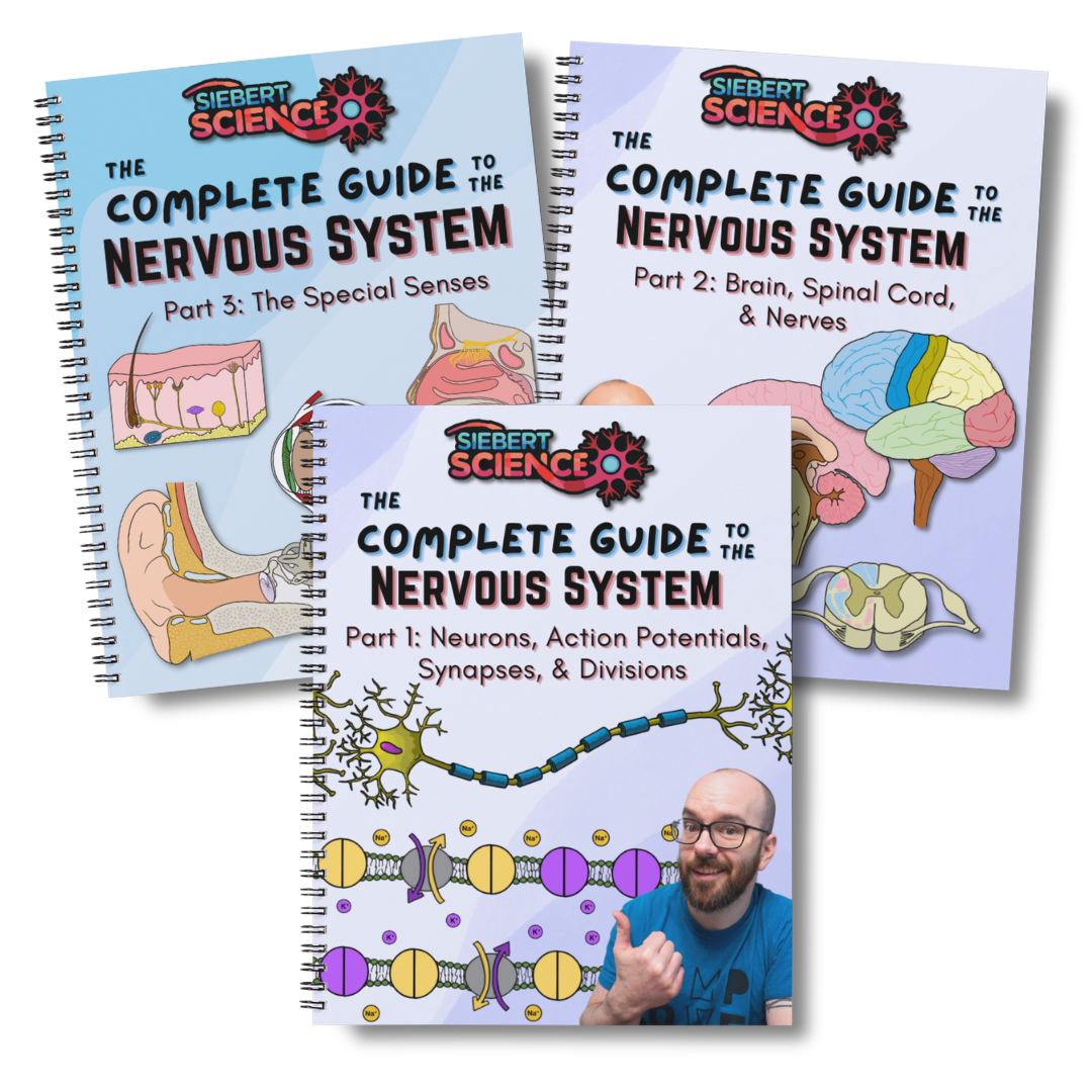 The Complete Nervous System Guide Collection (Parts 1, 2 & 3) (ebooks)
