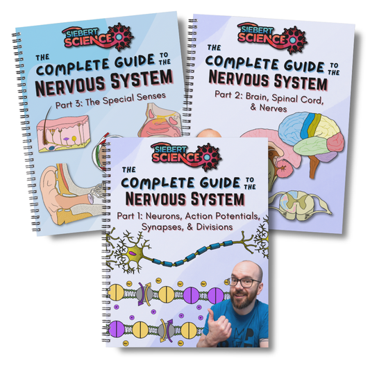The Complete Nervous System Guide Collection (Parts 1, 2 & 3) (ebooks)