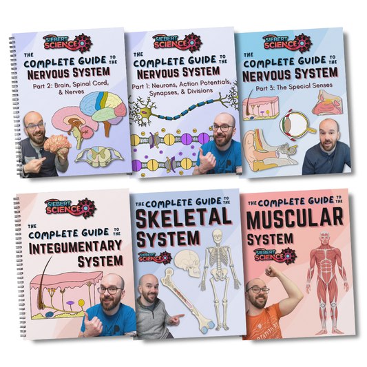 The A&P 1 Organ Systems Guide Collection (ebooks)