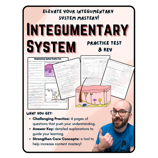 Practice Test - Integumentary System