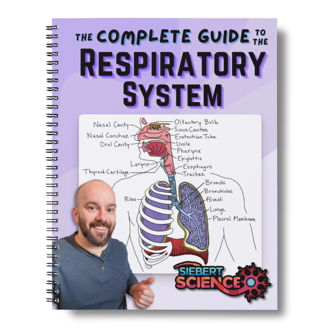 The Complete Guide to the Respiratory System (ebook)