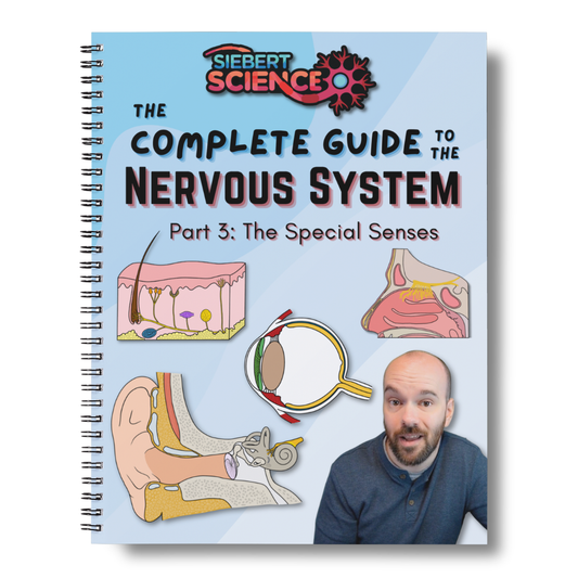 The Complete Guide to the Nervous System (Part 3: Special Senses) (ebook)