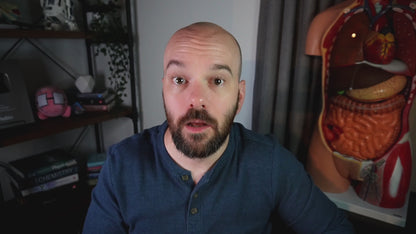 The Memory Lab 🧠 by Siebert Science